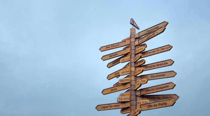 Cum sa calatoresti spontan