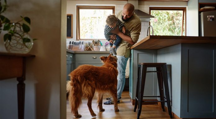 Cum sa traiesti fara animale de companie