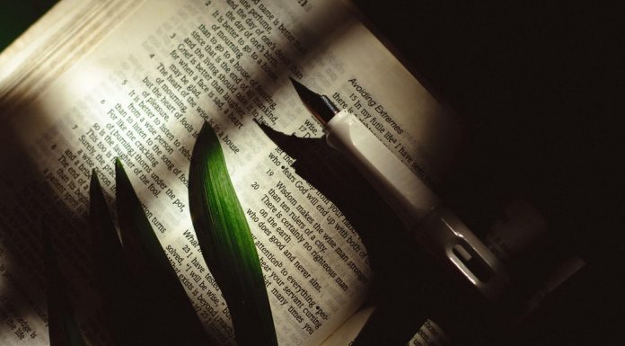 164 Citate Intelepte pline de adevar