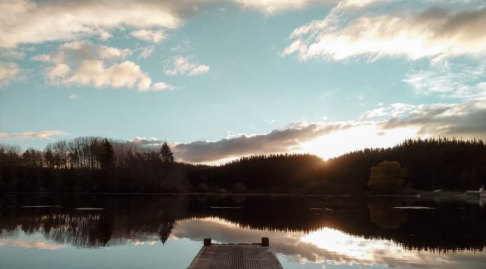 188 Citate Triste – Citate Celebre