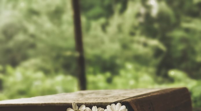 213 Mesaje De Condoleante