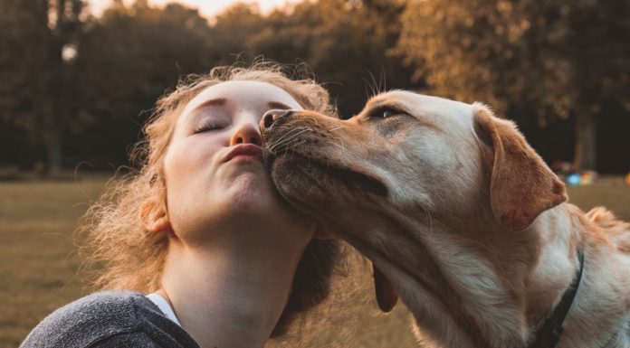 266 Citate Despre Viata Si Iubire Citate frumoase